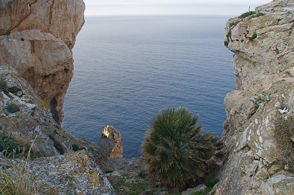 El Encinar De Arta Ξενοδοχείο Εξωτερικό φωτογραφία