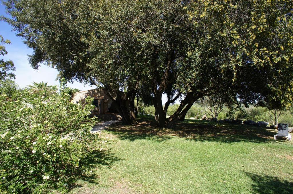 El Encinar De Arta Ξενοδοχείο Εξωτερικό φωτογραφία